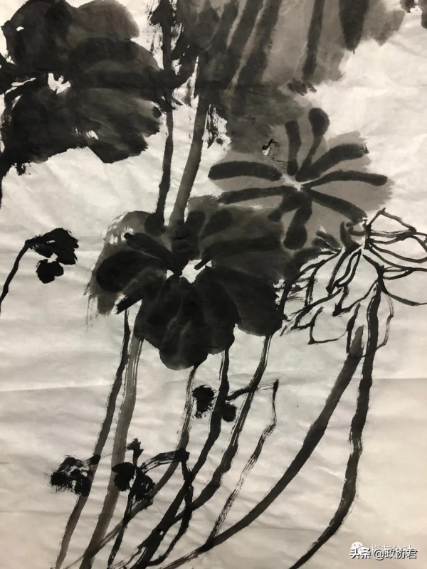 竹對芙蕖兩相幽——唐建荷花寫生 竹對芙蕖兩相幽——唐建荷花寫生