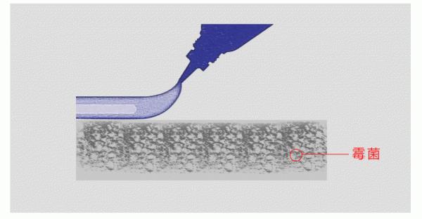 建議各位:若不差這點錢,家中常備這幾樣物品,日子越過越順心 建議各位:若不差這點錢,家中常備這幾樣物品,日子越過越順心