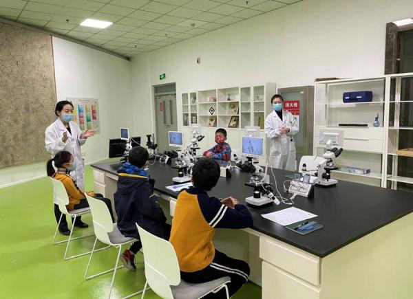 白堊紀山東恐龍全揭秘，山東博物館備齊大展迎春節