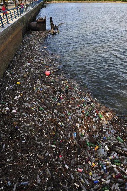 美國真的是我們幻想中的那個樣子嗎? 美國真的是我們幻想中的那個樣子嗎?