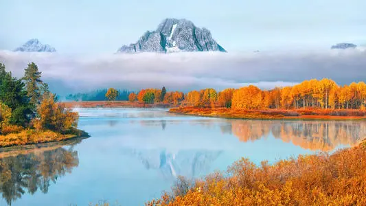 經方探源：陽明中風病傳衍化四證主方