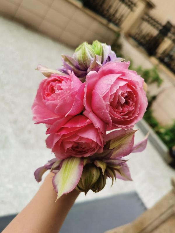 節日收到的花束，拿回家卻束手無策？手把手教你鮮花養護