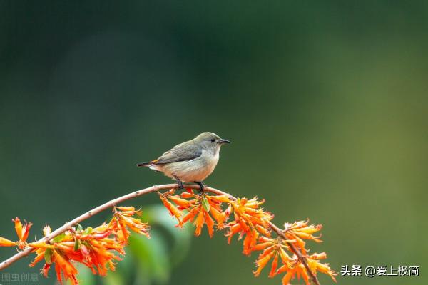 減肥10斤,斷舍離100天,寫原創文章100篇,充實的2021年 減肥10斤,斷舍離100天,寫原創文章100篇,充實的2021年