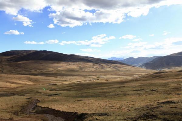 “秋遊到西藏”系列遊記：小牧場裡敘舊緣，最高峰前拍個照