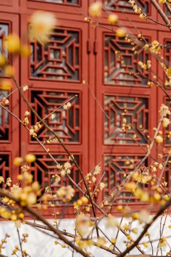 在東湖過元旦，好多新板眼！