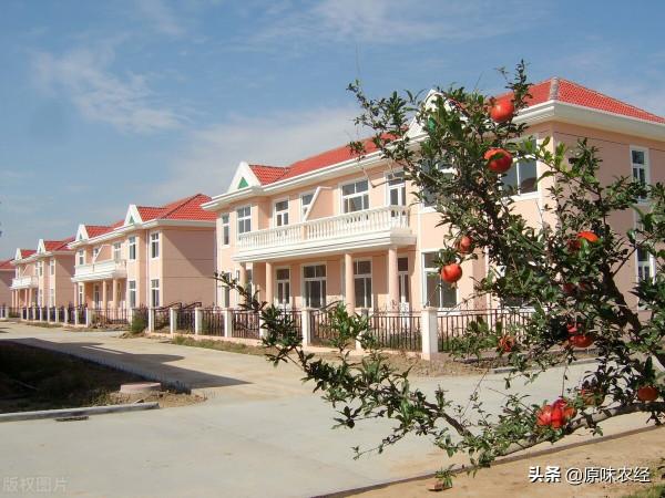 宅基地：不能阻擋農民對美好生活的需要