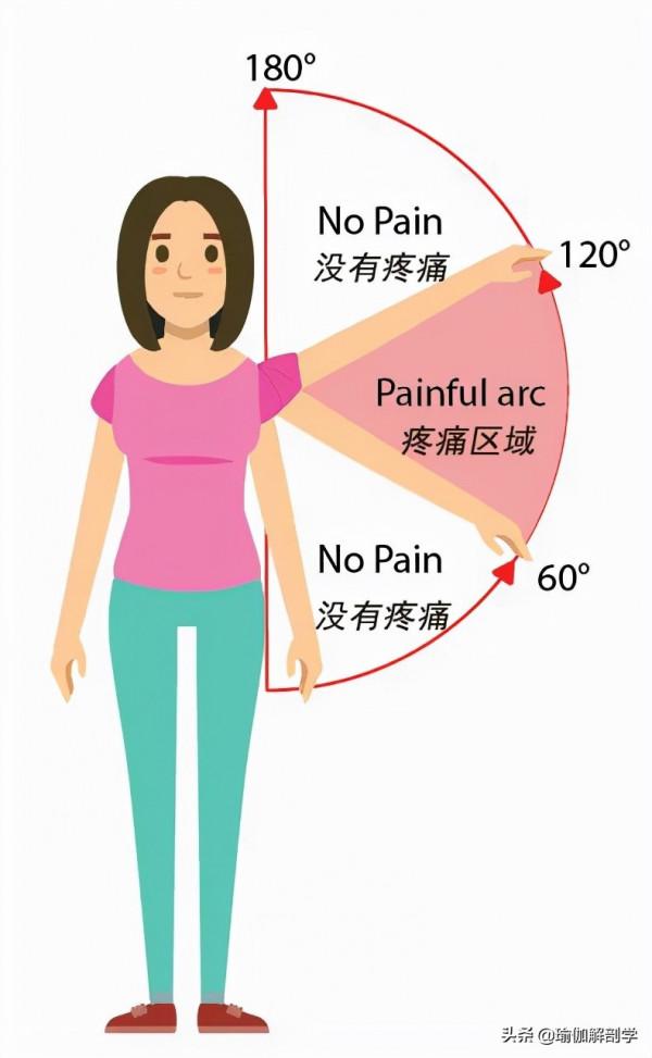 練瑜伽,為什麼瑜伽老師總是要你“大臂外旋” 練瑜伽,為什麼瑜伽老師總是要你“大臂外旋”