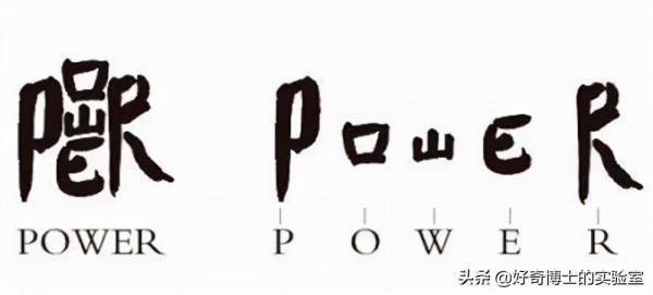 冷知識：每一顆牙齒的平均壽命其實都不同