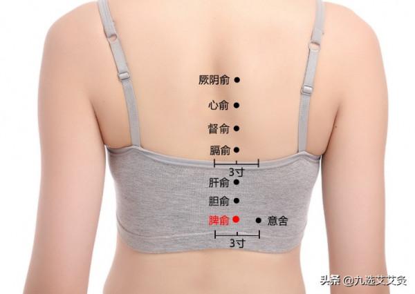 脾俞穴：補脾溫中，益氣養血，健脾和胃