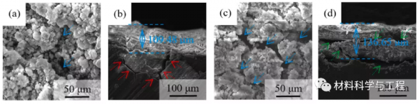 太原理工《JPS》：晶體取向對於鎂陽極電化學和放電效能的影響