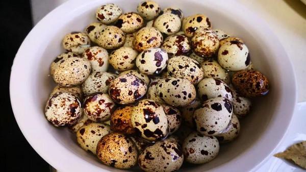 滷鵪鶉蛋家常做法，滷香濃郁，輕鬆剝皮還特別入味，學會不用買了