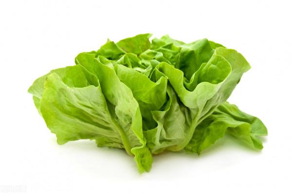 人到老年,需要補葉酸和B12?醫生提醒:可以預防腦梗和老年痴呆 人到老年,需要補葉酸和B12?醫生提醒:可以預防腦梗和老年痴呆