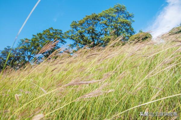 少年想當俠客卻成了土匪,十年後立了大功,“錯”出來的緣分 少年想當俠客卻成了土匪,十年後立了大功,“錯”出來的緣分