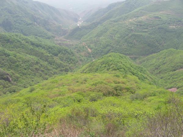 我的驢行日記——鳩山老王溝 我的驢行日記——鳩山老王溝