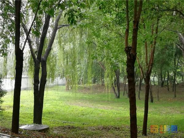 美哭了！不用去雲貴高原，在北京就能欣賞到的超美梯田，還免門票~