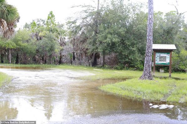美國情侶房車旅行失蹤案！女方屍體找到，網友擔心男友已自殺