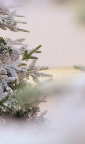 聖誕卷還是聖誕節？