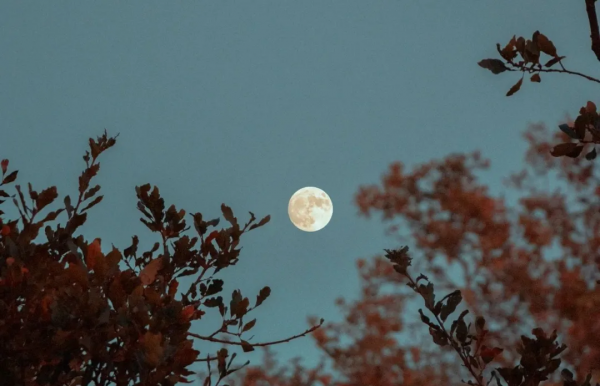 前沿理論量子力學，竟暗合中華文化的核心思想？