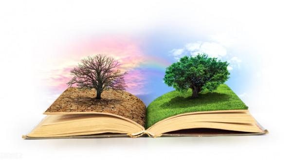 孩子才是未來和希望，是家的天花板，他能長多高全看根有多深