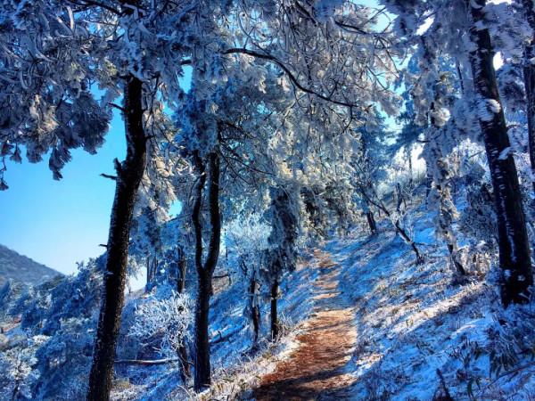 「冬日徒步」 登頂杏梅尖,看玉樹冰掛,攬霧凇勝景,探龍門古鎮 「冬日徒步」 登頂杏梅尖,看玉樹冰掛,攬霧凇勝景,探龍門古鎮
