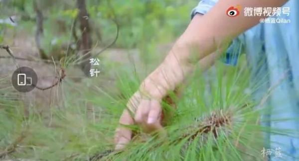 美呆了!雲南一女子將漢服染成了古詩詞裡的顏色… 美呆了!雲南一女子將漢服染成了古詩詞裡的顏色…