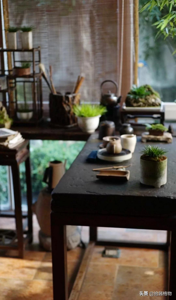 細說菖蒲品種 細說菖蒲品種