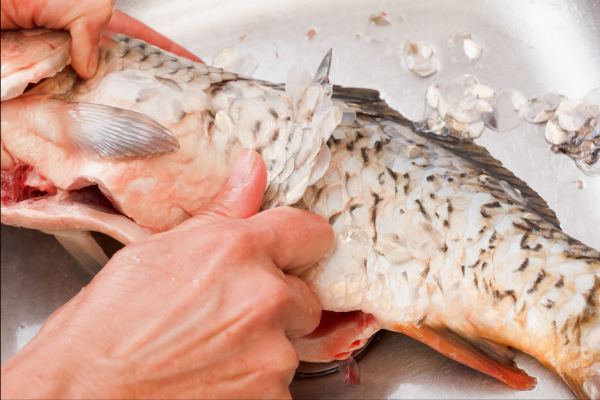 不管燉什麼魚，別用料酒去腥，多放一種醬，魚肉香嫩鮮美，無腥味