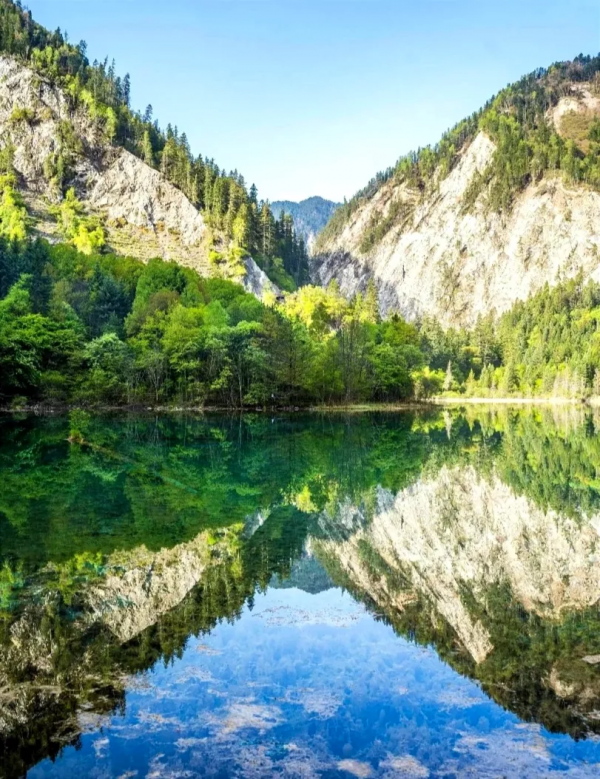 初秋來四川,帶你去看“海”!不信? 初秋來四川,帶你去看“海”!不信?