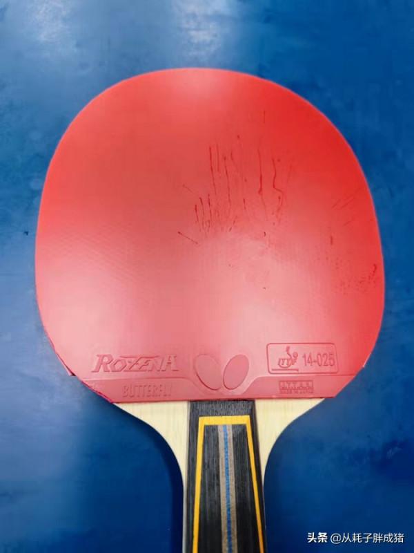 簡單聊聊蝴蝶Rozena套膠的體驗 簡單聊聊蝴蝶Rozena套膠的體驗