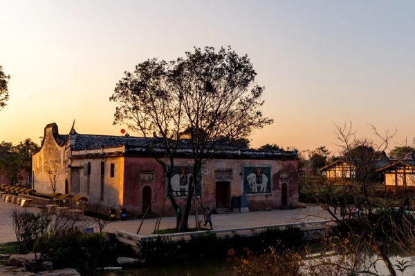 你姓什麼，你的根就從哪兒來