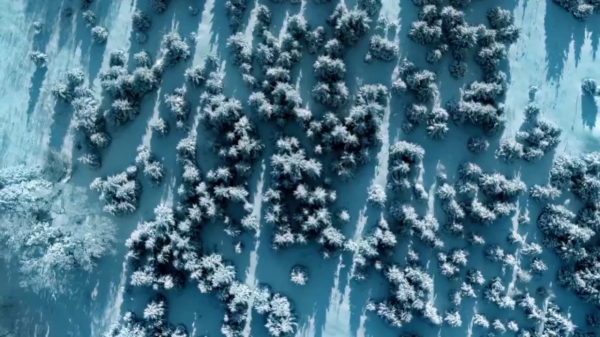 《雙探》不合情理的幾點 《雙探》不合情理的幾點