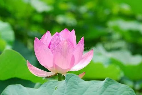 體相的秘密，雙腳代表的6大含義你都知道嗎？