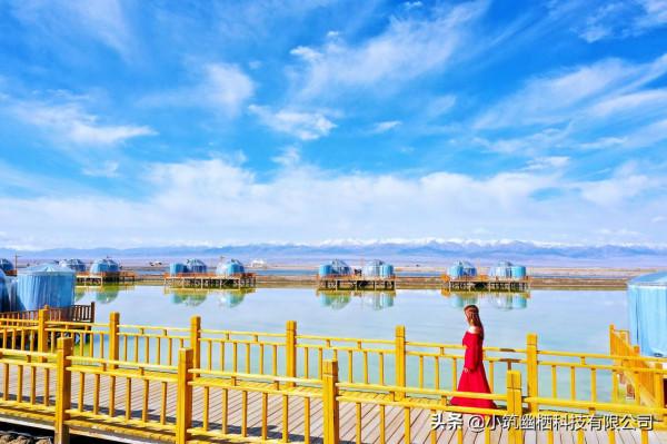 透明星空泡泡屋,是秋天驚喜的鋪墊 透明星空泡泡屋,是秋天驚喜的鋪墊