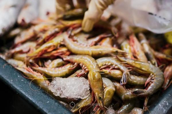 全國秋天神仙菜市場大賞 全國秋天神仙菜市場大賞
