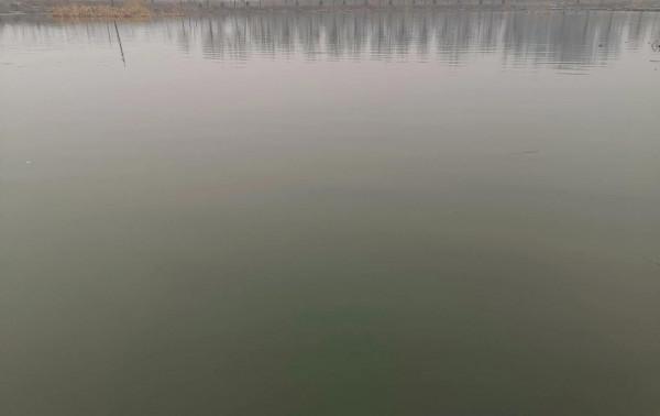 雨天釣魚不給力,果斷換地方,終於小爆護 雨天釣魚不給力,果斷換地方,終於小爆護