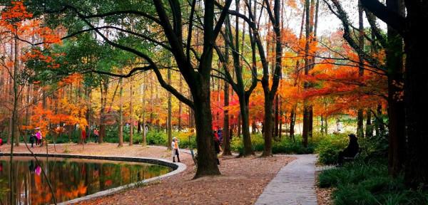嘗秋正當時,錯過再等一年 嘗秋正當時,錯過再等一年