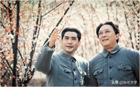 唐國強李雪健宋丹丹均獲獎,第2屆電視節斑彩螺獎獲獎演員有多牛 唐國強李雪健宋丹丹均獲獎,第2屆電視節斑彩螺獎獲獎演員有多牛