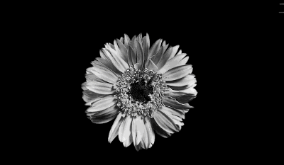 為什麼“菊花”會被辣到,卻感受不到酸甜苦鹹? 為什麼“菊花”會被辣到,卻感受不到酸甜苦鹹?