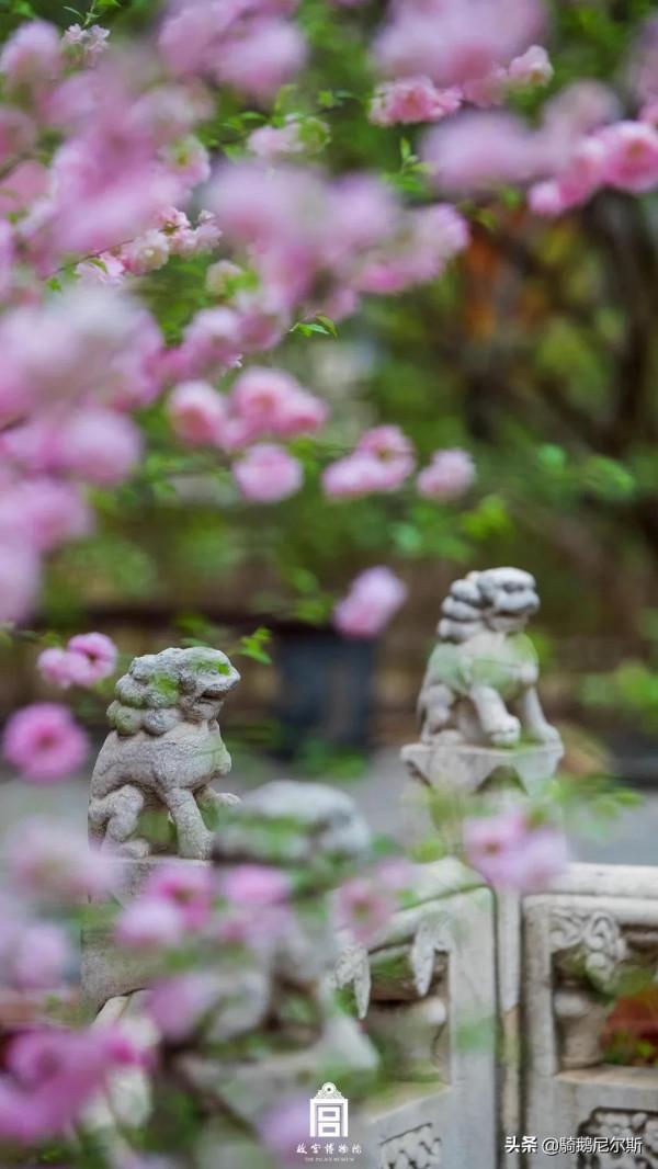 驚豔了時光，尋找故宮之美