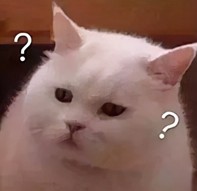 把貓咪喂胖,然後遺棄,這些人是在變相虐待寵物嗎? 把貓咪喂胖,然後遺棄,這些人是在變相虐待寵物嗎?