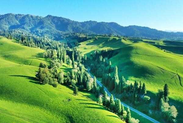 錯過那拉提，就錯過新疆一半的美？！這才是真實的那拉提