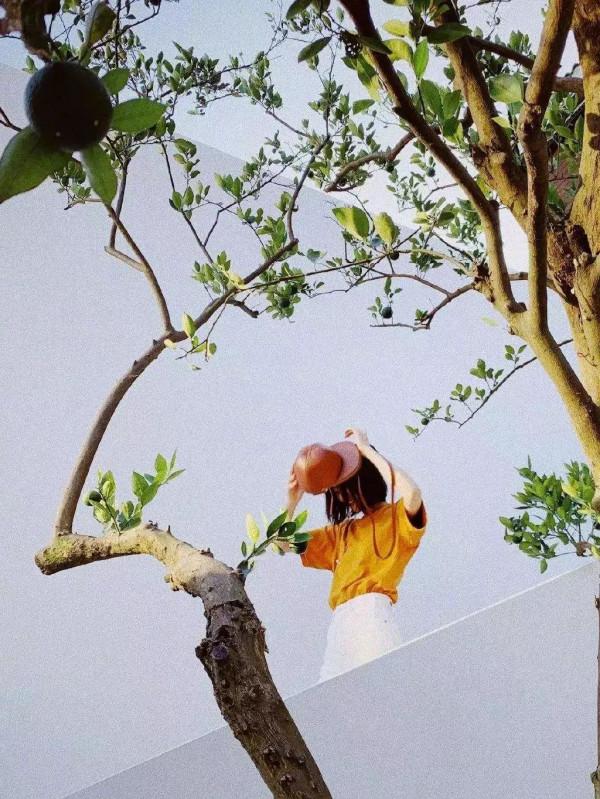 這20句話讓你明白旅行的意義。能走多遠，就走多遠