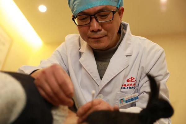 （健康過大年⑦）你是什麼體質？請針對這份要點對號入座