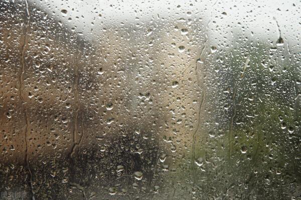 住在一樓是什麼樣的體驗？