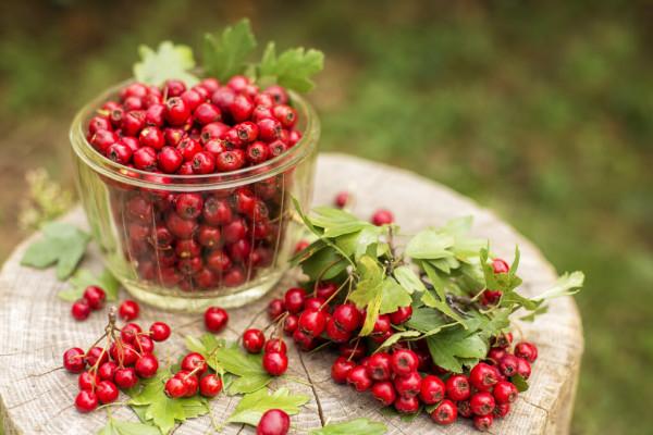 油膩食物吃太多，消化不良怎麼辦？消化解膩有妙招