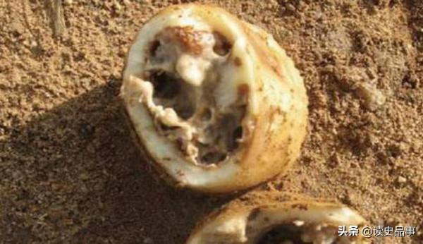 ​美國白人裡也有種族歧視？義大利和愛爾蘭人，都曾被指“不夠白”