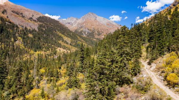 川西海拔最高最大最藍的海子——亞莫措根