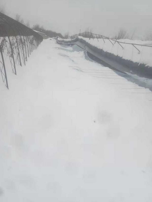 北方多地暴雪之後：蔬菜大棚被壓塌20多戶絕收，部分地區蔬菜價格上漲近一倍