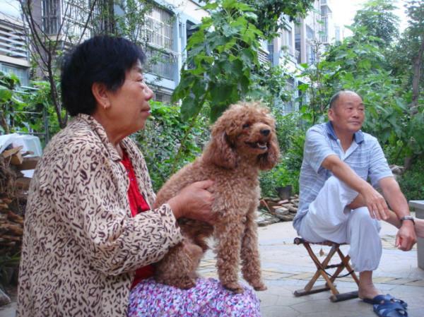 未來10年，這類樓層將會是黃金樓層，聰明人已經偷偷下手