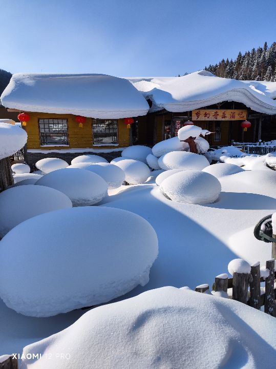 從成像效果圖看小米12Pro